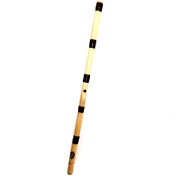 تصویر نی رسولی 