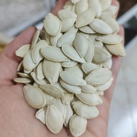 تصویر تخمه کدو خام گوشتی تازه ایرانی(100گرمی) 