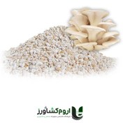تصویر بذر قارچ صدفی پروسه تولید ۷ روزه 