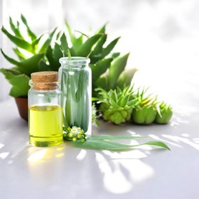 تصویر روغن اکالیپتوس 