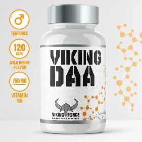 تصویر مکمل دی ای ای وایکینگ فورس 