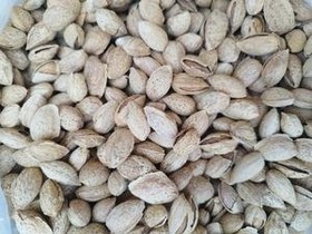 تصویر بادام تک پوست زرین 