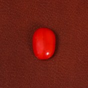 تصویر نگین مرجان کد 26877 