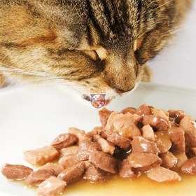 تصویر پوچ گربه وینستون طعم مرغ در سس تخم مرغ 100 گرم (بسته بندی جدید) Winston Rossmann With Chicken In Egg Sauce For Cats 100g