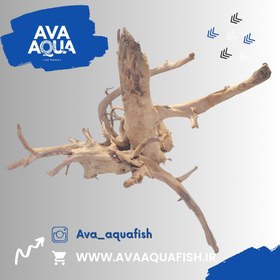 تصویر چوب آبنوس آکواریوم کد 9 