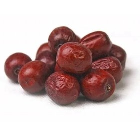 تصویر بذر عناب 10 عددی 