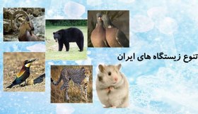 تصویر دانلود پاورپوینت تنوع زیستگاه های ایران درس 11 مطالعات اجتماعی هفتم دانلود-پاورپوینت-تنوع-زیستگاه-های-ایران-درس-11-مطالعات-اجتماعی-هفتم