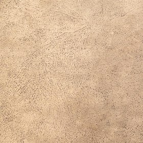 تصویر هانزو 10 