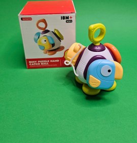 تصویر بیزی بال طوطی 