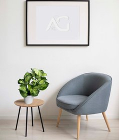 تصویر گیاه پتوس منجولا 