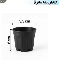 تصویر گلدان سايز 6 