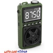 تصویر رادیو و اسپیکر بلوتوث گرین لاین مدل Voyager قابل حمل 