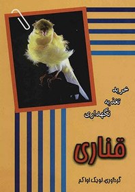 تصویر قناری (خرید تغذیه نگهداری) 