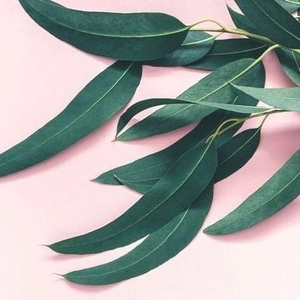 تصویر فروشگاه بهتن سلامت