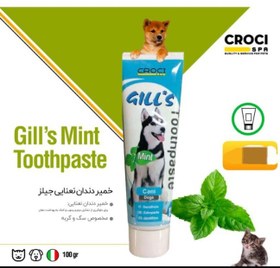 تصویر خمیر دندان سگ و گربه جیلز ایتالیا Gills theeth paste