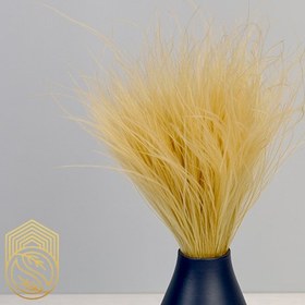 تصویر گل خشک طبیعی ساده کد sh152 