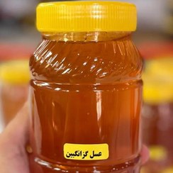 تصویر عسل گزانگبین ۱ کیلوگرم 
