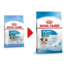 تصویر غذای خشک توله سگ نژاد کوچک رویال کنین ا Royal Canin Mini Puppy Royal Canin Mini Puppy