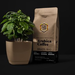تصویر قهوه عربیکا برزیل ریو | BRAZIL RIO ARABICA 