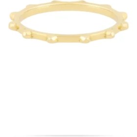 تصویر انگشتر پرچین 