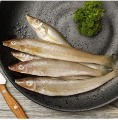 تصویر ماهی شورت تازه ۱ کیلوگرم بندرعباس 