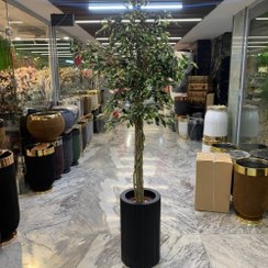 تصویر درختچه بنجامین ابلق مصنوعی 