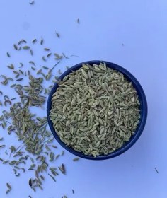 تصویر رازیانه(بادیان) 