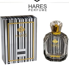 تصویر ادکلن اسپلندور بلک مردانه (100 میل) حارث HARES SPLENDOR BLACK MEN PERFUME