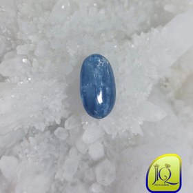 تصویر نگین کیانیت 