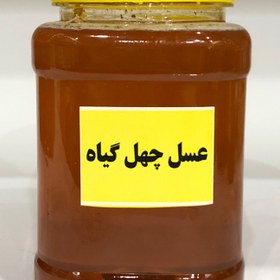 تصویر عسل چهل گیاه ارگانیک - ۵۰۰ گرم 