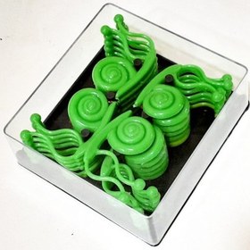 تصویر گیره پتوس حلزونی 