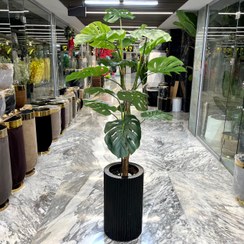 تصویر درختچه انجیری مصنوعی 