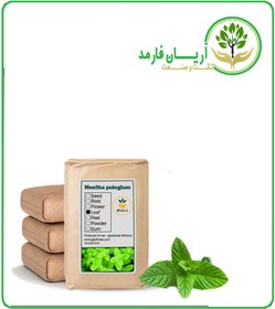 تصویر گیاه پونه خشک فله 