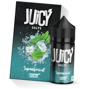 تصویر جویس نستی Nasty Spearmint Juicy Salt 