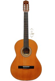 تصویر گیتار پارسی مدل M2 guitar model  M2 PARSI