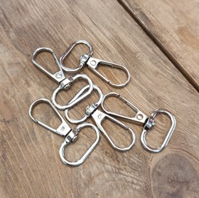 تصویر مدبر نقره ای 