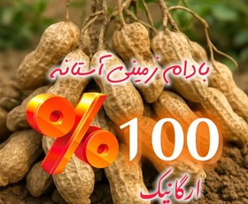 تصویر بادام زمینی آستانه (ارگانیک)۱کیلویی 