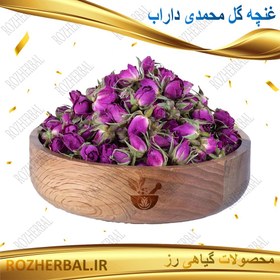 تصویر غنچه گل لاله زار 50 گرمی 