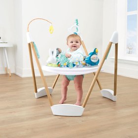 تصویر جامپر کودک ExerSaucer مدل woodland برند ایون فلو evenflo 