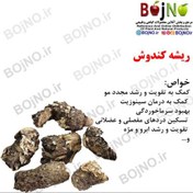 تصویر ریشه کندوش(بسته 50گرمی) 