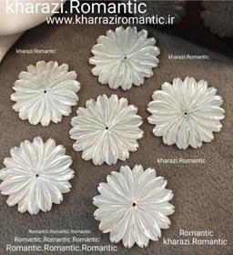 تصویر صدف گل بابونه 