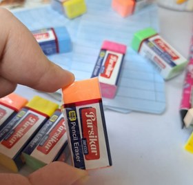 تصویر پاگ کن پارسیکار رنگی 