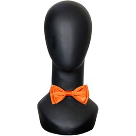 تصویر پاپیون نارنجی 