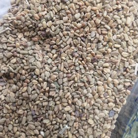 تصویر معجون هفت بذر 500 گرم 