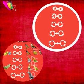 تصویر آتل پای پرنده 