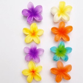 تصویر کلیپس پلومریا کد GH 