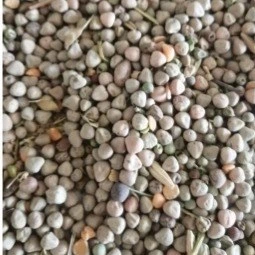 تصویر فروشگاه مواد غذایی دایی