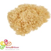 تصویر اسفنج پتینه طبیعی ماکو آلمان 