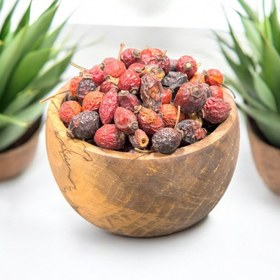 تصویر میوه نسترن 