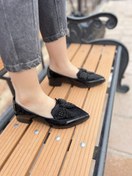 تصویر کالج پاپیونی ورنی 